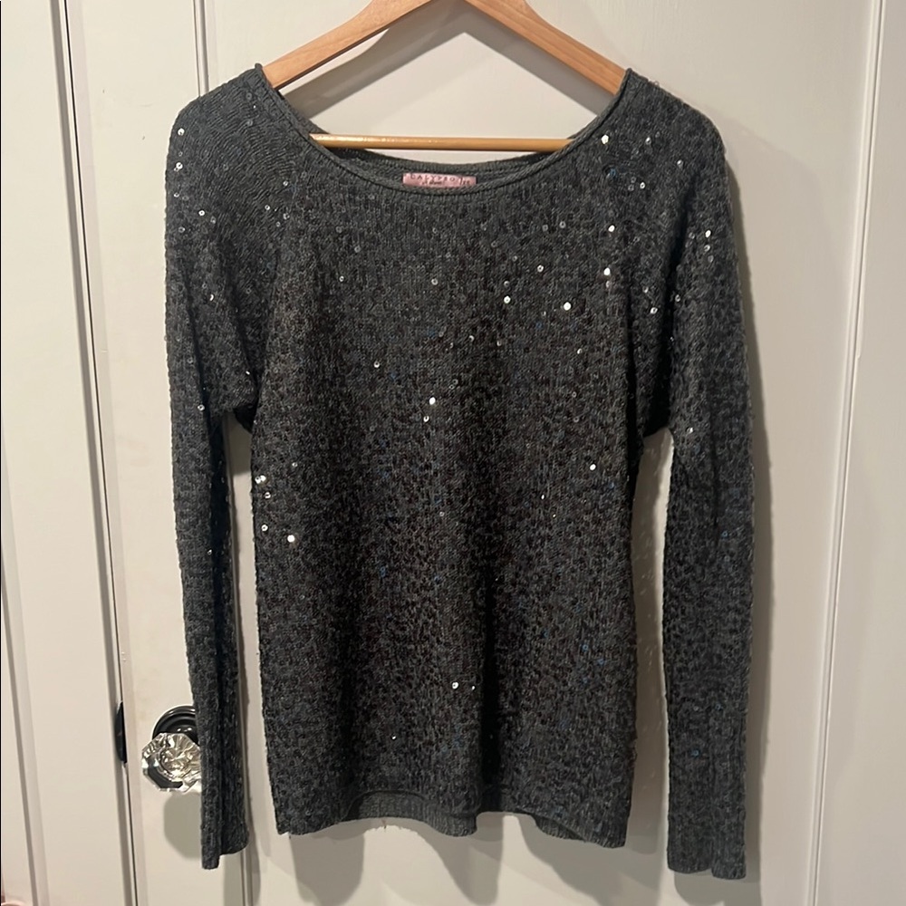 Calypso St. Barth Gray Sequin Sweater